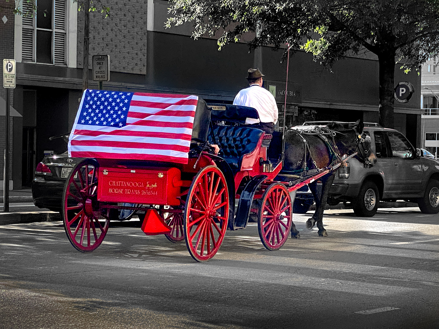 American Flag Horse Drawn Carriage | Chattanooga. Tn.