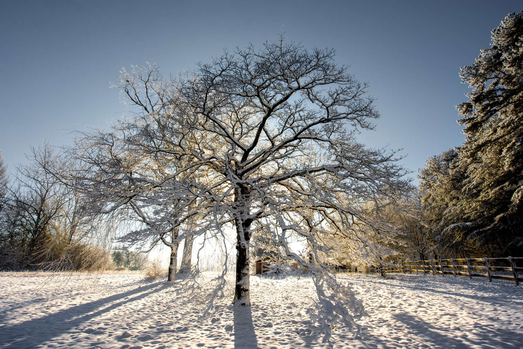 Winter Scene- Signal Mtn, Tn | Chattanooga, Tn
